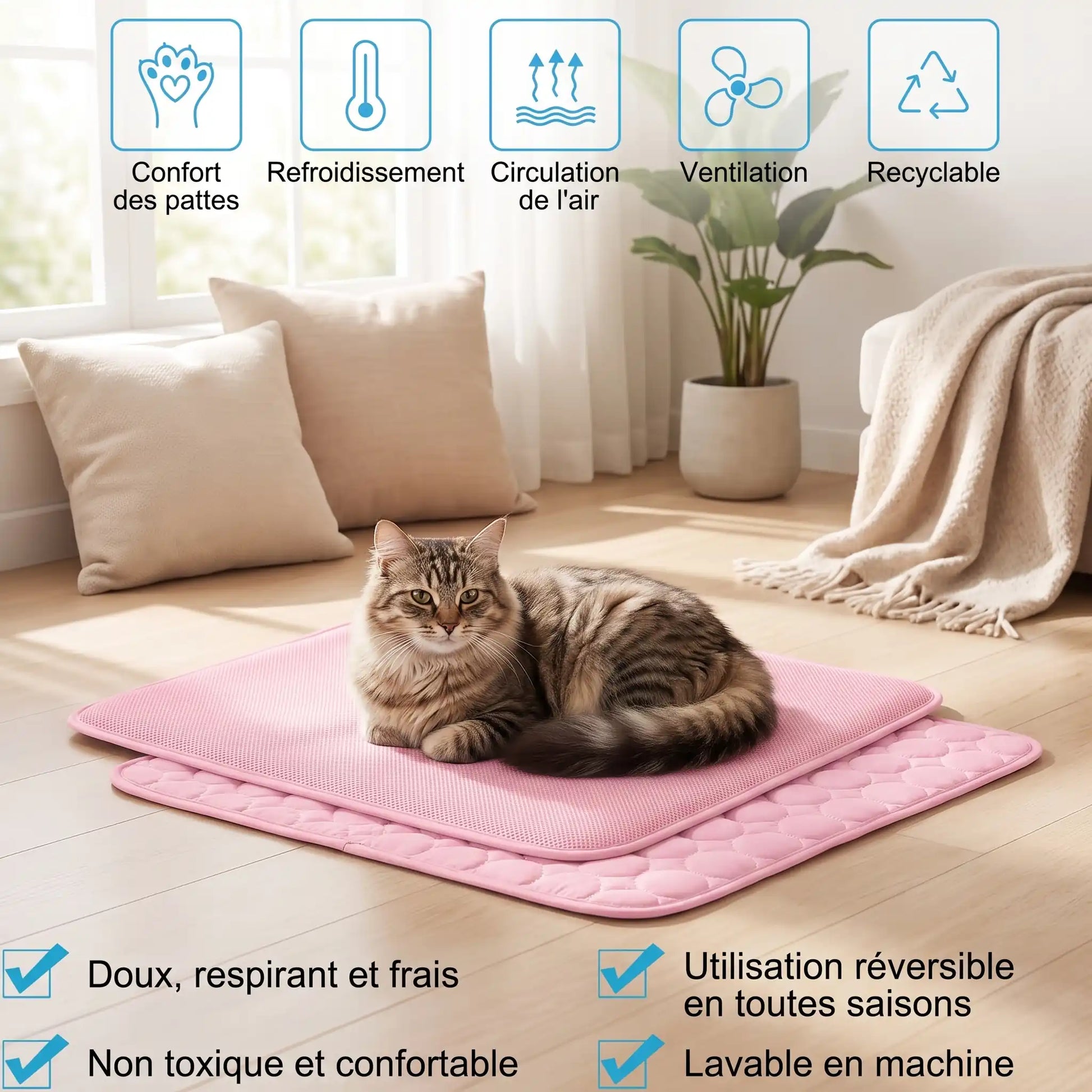 Chat allongé sur tapis rafraîchissant rose – confort des pattes, ventilation et recyclable