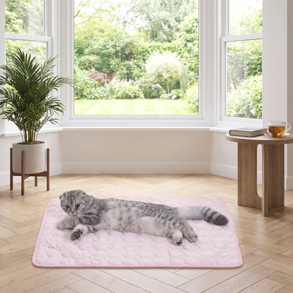 Chat Scottish Fold allongé sur tapis rafraîchissant rose pastel – intérieur lumineux